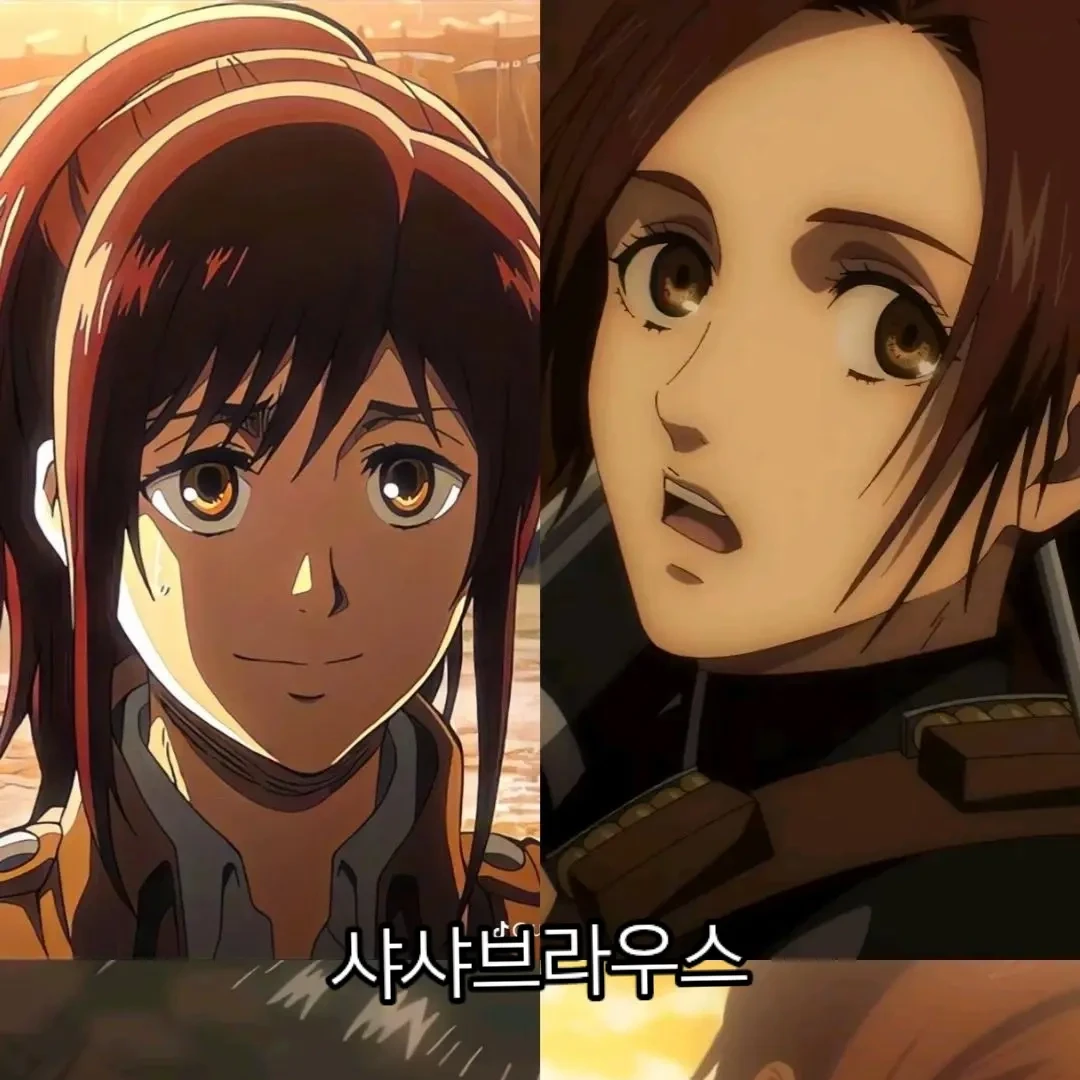 샤사