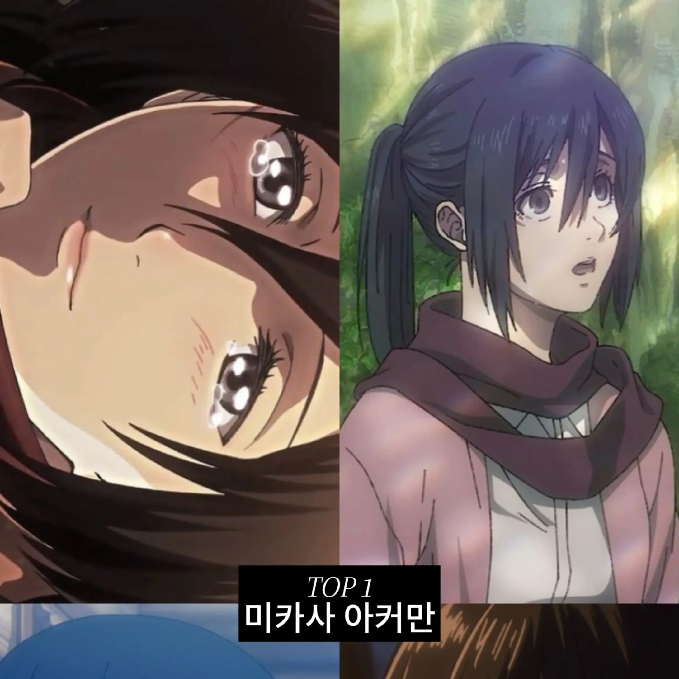 미카사