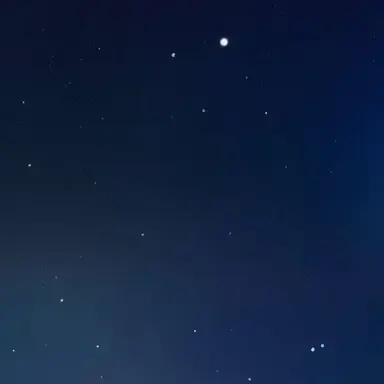 Profile image of SPACE