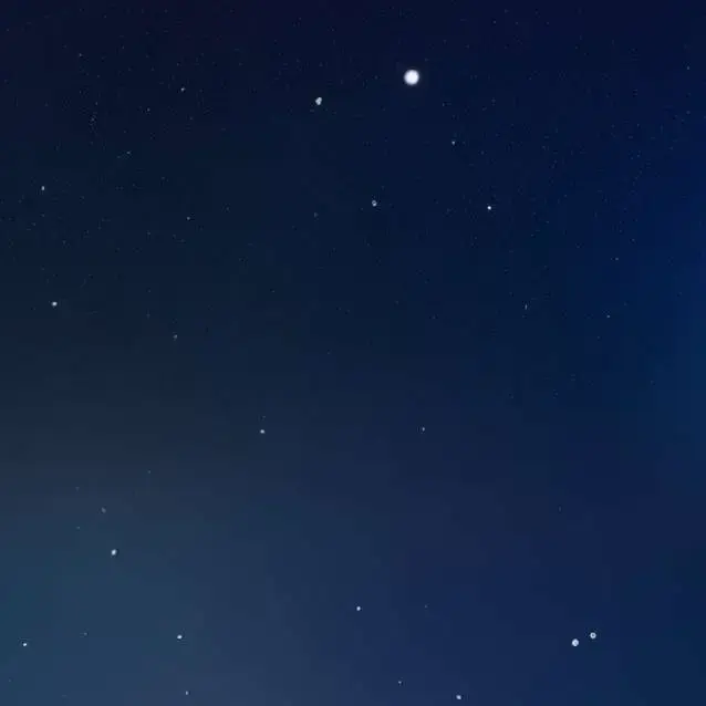 StumpyIdea9168의 SPACE