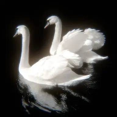 Profile image of 우융