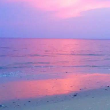 Profile image of 으뜸이