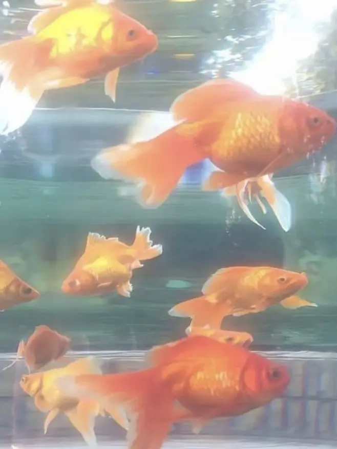 19.99.의 鳴海 弦