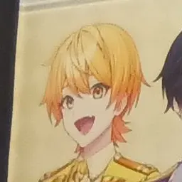 Profile image of Akkie