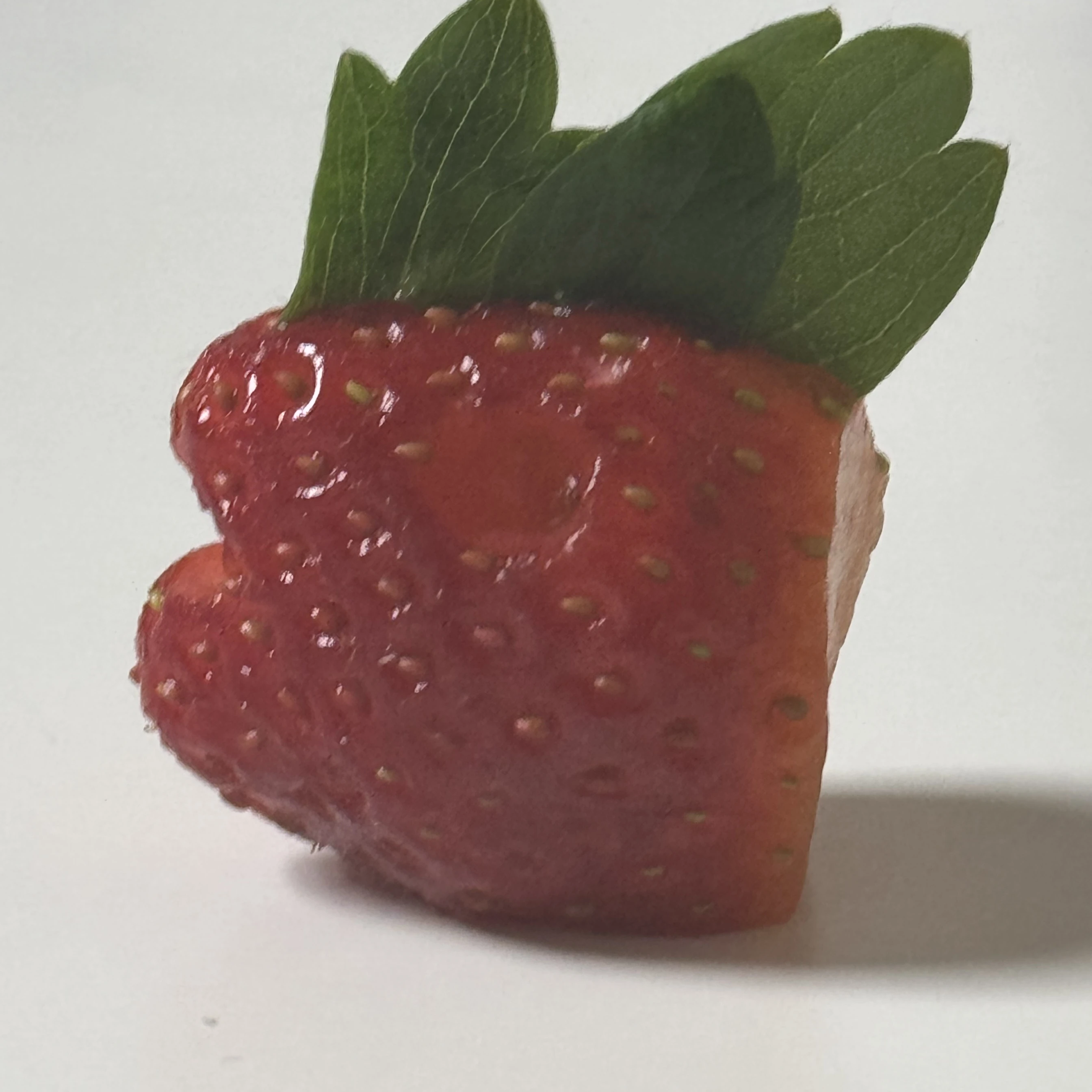 봉민서