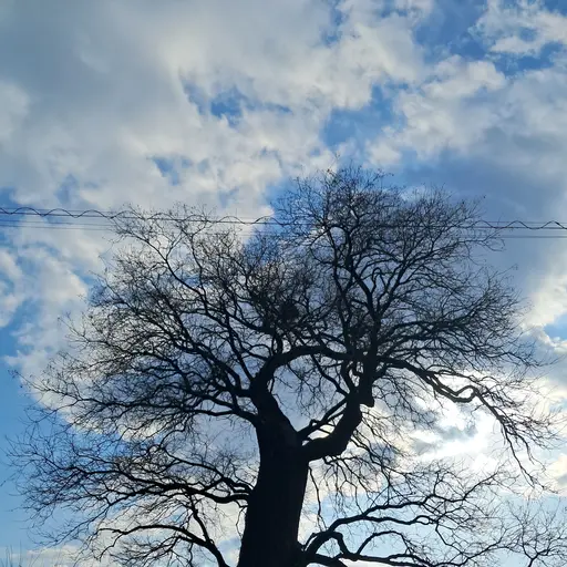 Eisjakj의 한반도즈5