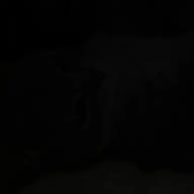 Profile image of 황현진