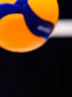 volleyball.fan8-1120의 サントリーサンバーズ大阪