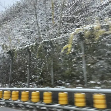 Profile image of ㅂㅅㅎ