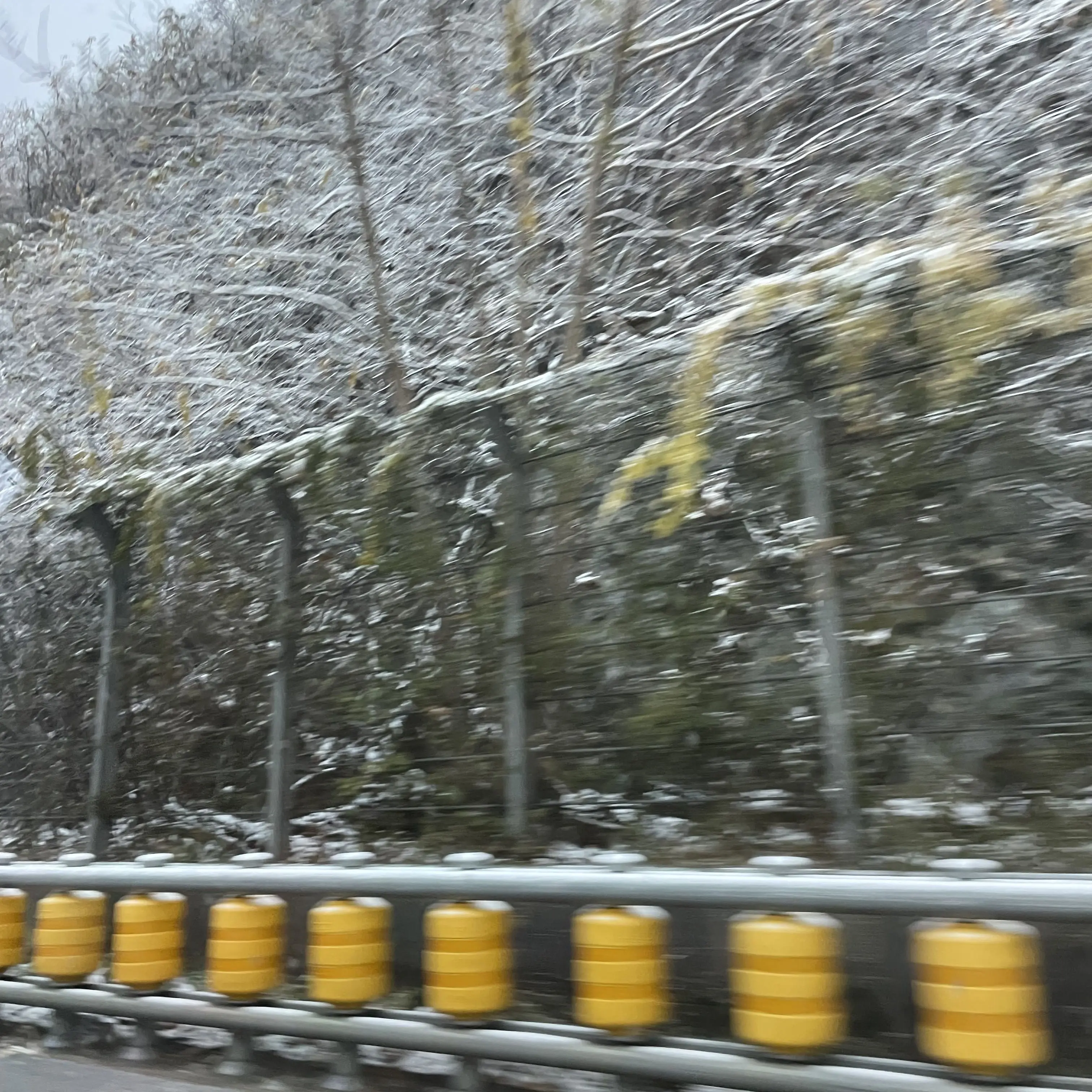 ProudBeach9813의 사랑의바보