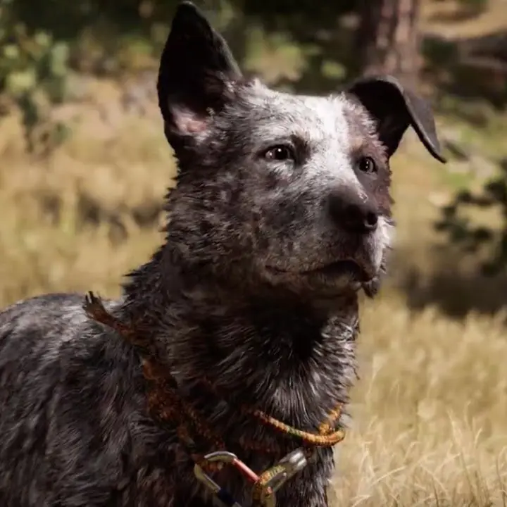 HotSled0893의 All Farcry 5 Allies!