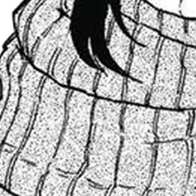 Profile image of 相澤消太