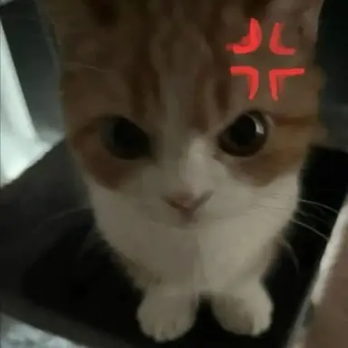 Profile image of 이여우