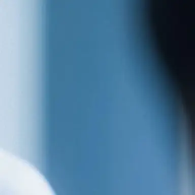 Profile image of 오시온