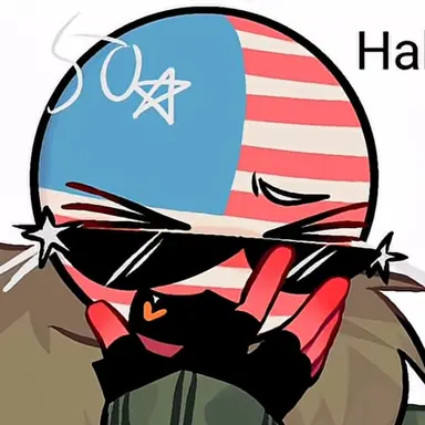 Profile image of 미국