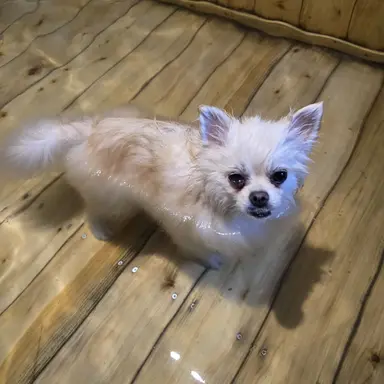 Profile image of 김채움