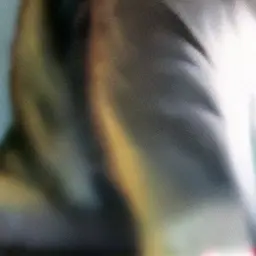 Profile image of カン・グォン