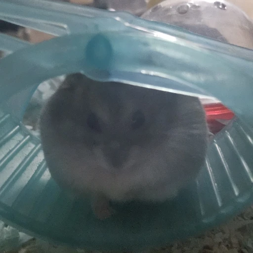 봉길