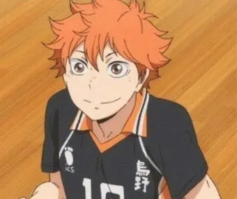 Profile image of Hinata Shoyo