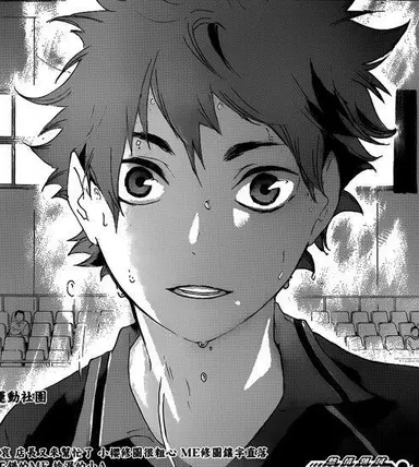 Profile image of 日向 翔陽