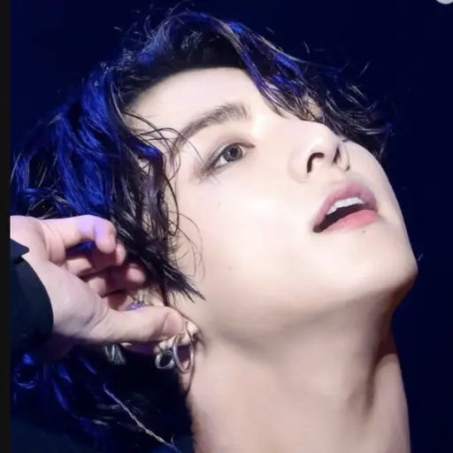 CurvedCamel3788의 전정국