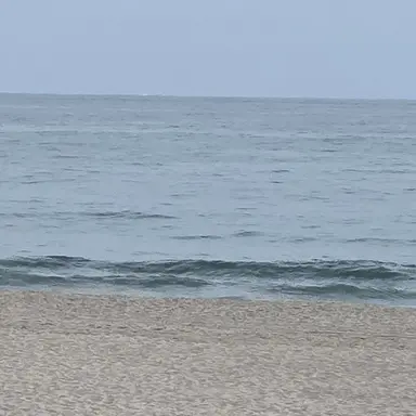 Profile image of 장하오