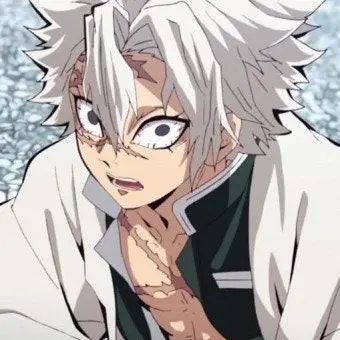 Profile image of 시나즈가와 사네미