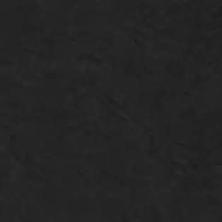 Profile image of 目黒蓮