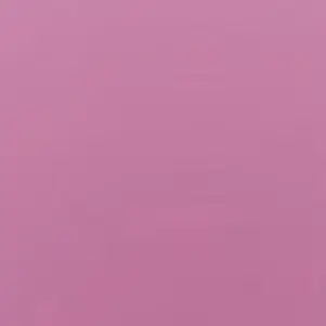 Profile image of 김탄