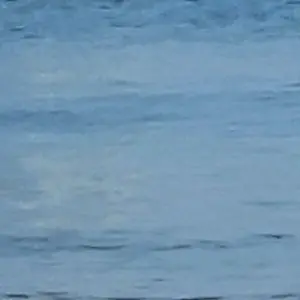 Profile image of 한도윤