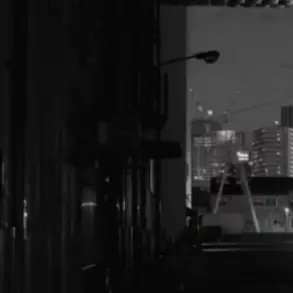 Profile image of 三年生