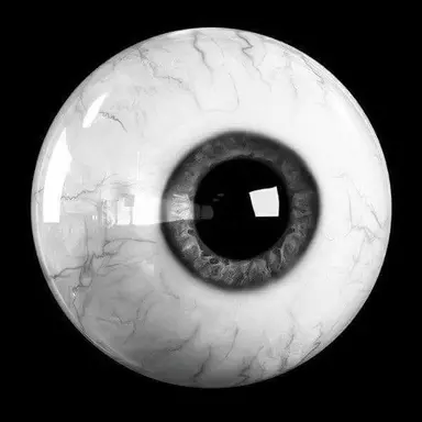 Profile image of 임요한