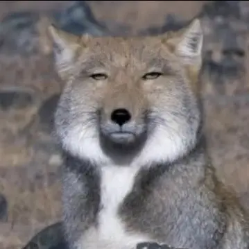 Profile image of 호리