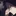 爽恋〔そうすけ〕