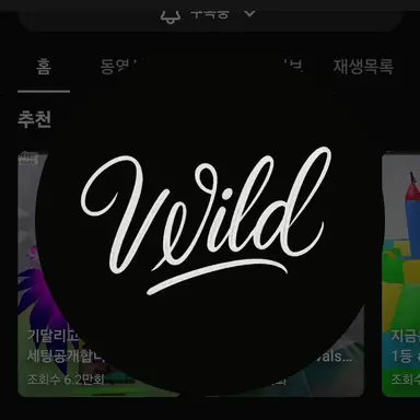 Profile image of 와일드