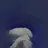 컨휴중