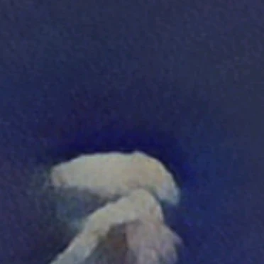 컨휴중