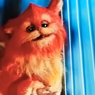 Profile image of Fuzzball