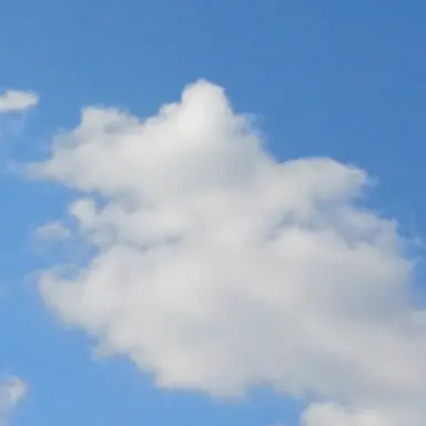 Profile image of 하늘