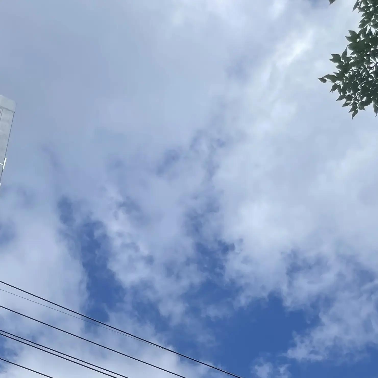 PurelyCloud4583의 신시아