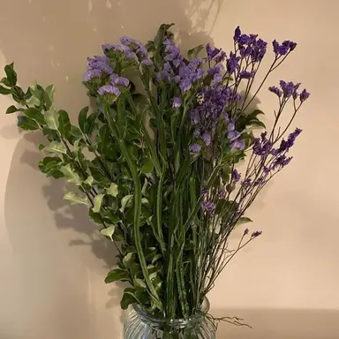 Profile image of 황수현