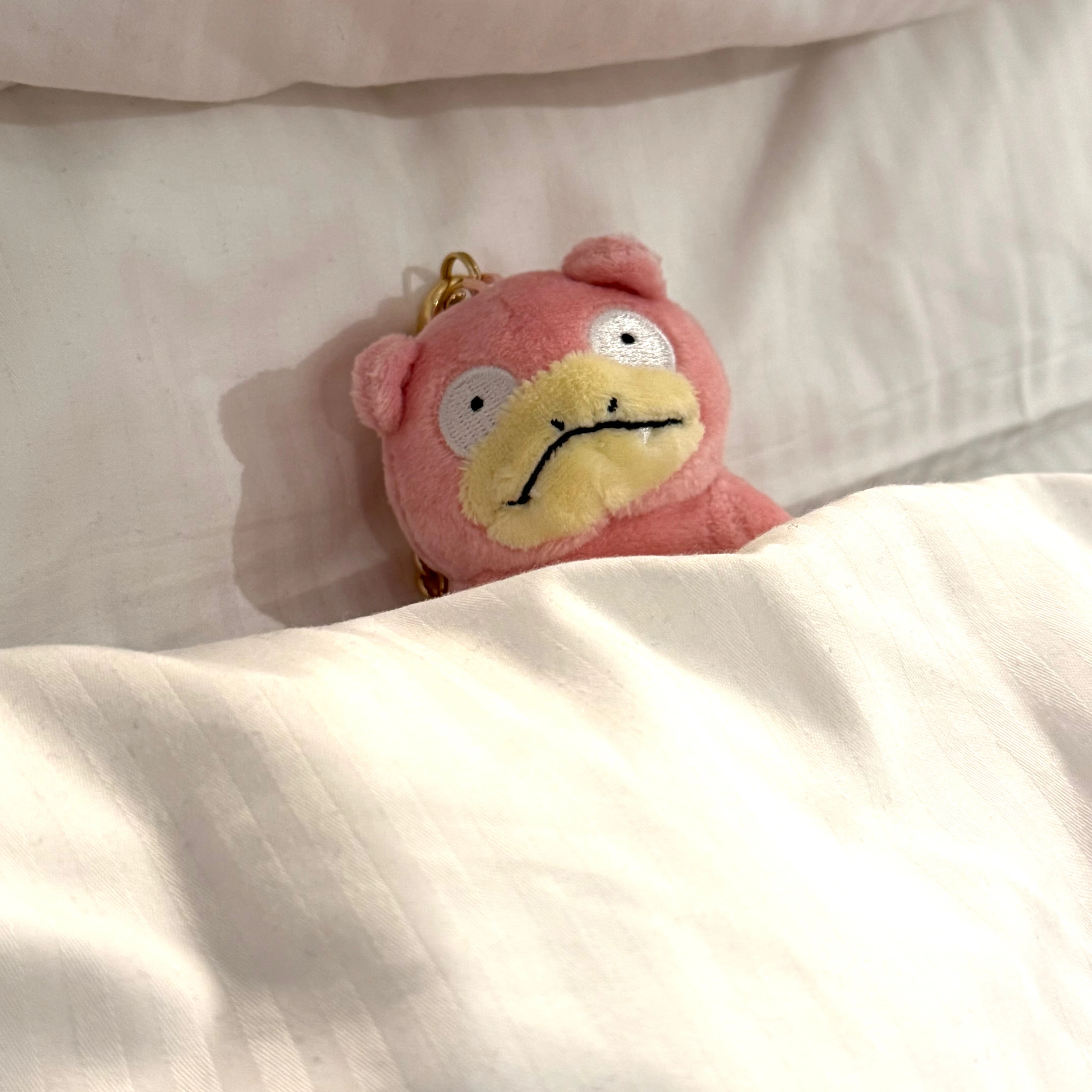 황자들