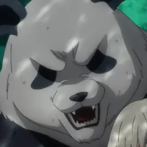 Profile image of Panda