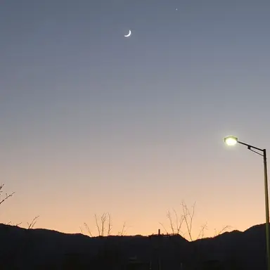 Profile image of 여우