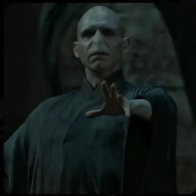 Profile image of Lord Voldemort