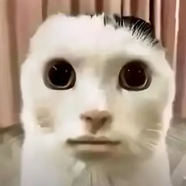 Profile image of 주인장