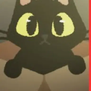 Profile image of The cat