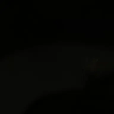 Profile image of 윤의현