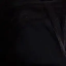 Profile image of 안건호