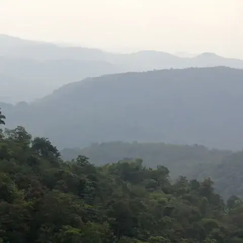 Tumbleweed_a의 女性か男の娘しかいない世界